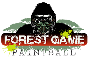 Forest Game - Aups